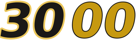 3000 logo